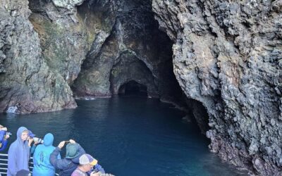 2025 Annual Summertime 8 hour whale watch on the Condor Express